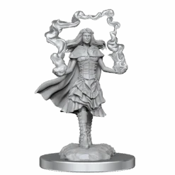 D&D Nolzurs Marvelous Unpainted Miniatures Dark Spellcaster & Flameskulls