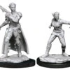 Dungeons & Dragons - Nolzur's Marvelous Unpainted Minis: Shifter Rogue Female