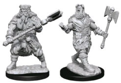 Dungeons & Dragons - Nolzur's Marvelous Unpainted Miniatures: Human Paladin Male