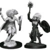 Dungeons & Dragons - Nolzur's Marvelous Unpainted Miniatures: Changeling Cleric Male
