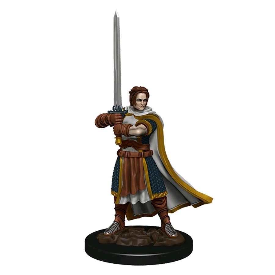 Dungeons & Dragons - Premium Human Fighter Male Miniature 1 Dungeons & Dragons - Premium Human Fighter Male Miniature