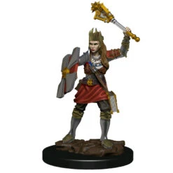 Dungeons & Dragons - Icons Of The Realms Human Cleric Female Premium Figure
