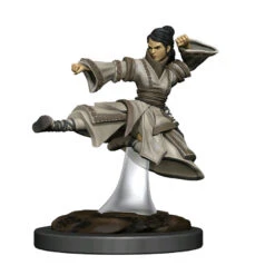 Dungeons & Dragons - Icons Of The Realms Human Monk Female Premium Figure
